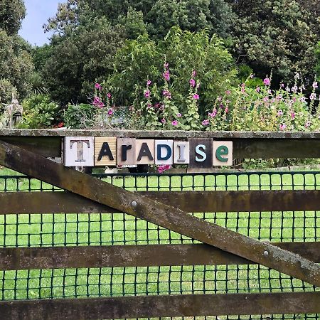 @Taradise-Opunake - Eco-Friendly Coastal Hideaway Εξωτερικό φωτογραφία